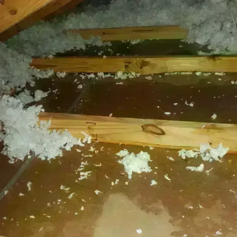 Attic Water Damage in Corinth, NY