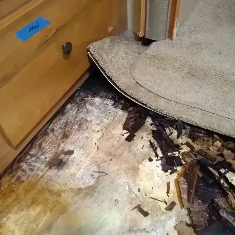 Best Wood Floor Water Damage Service in Corinth, NY